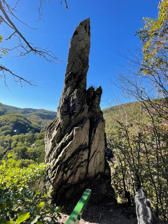 Laicas Lodge Dirbach Екстериор снимка